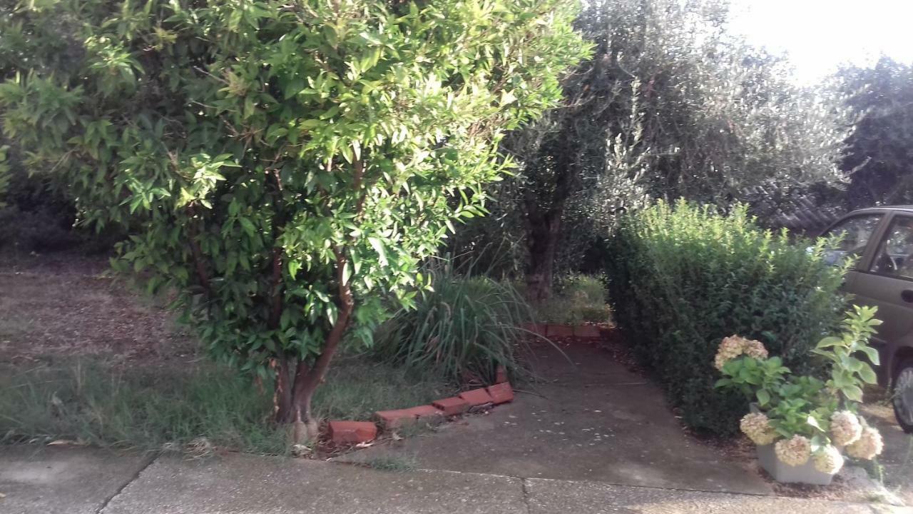 Apartments Luca Ražanac Εξωτερικό φωτογραφία
