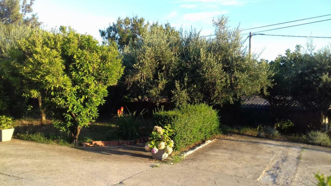 Apartments Luca Ražanac Εξωτερικό φωτογραφία